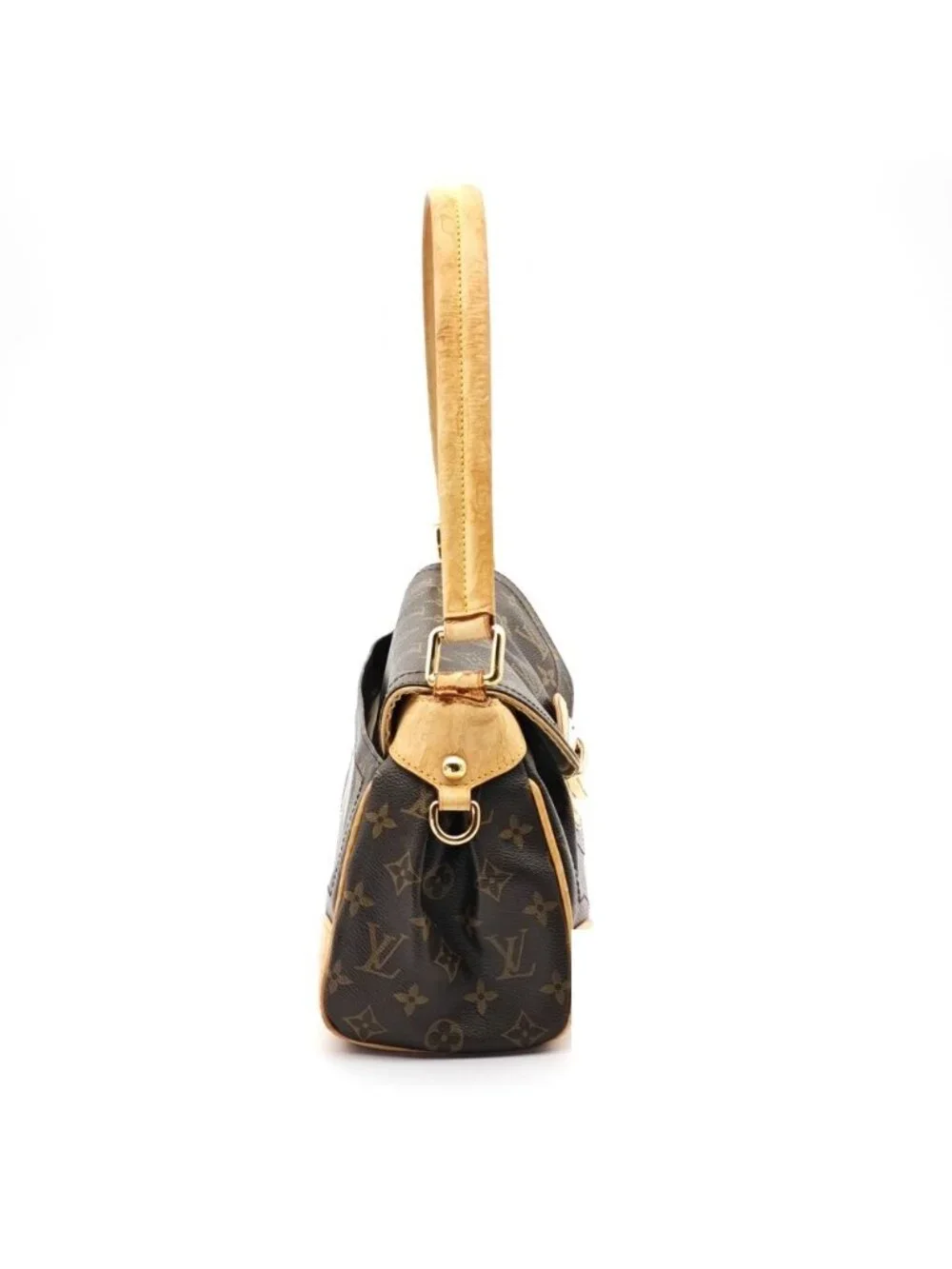 Louis Vuitton brand louis